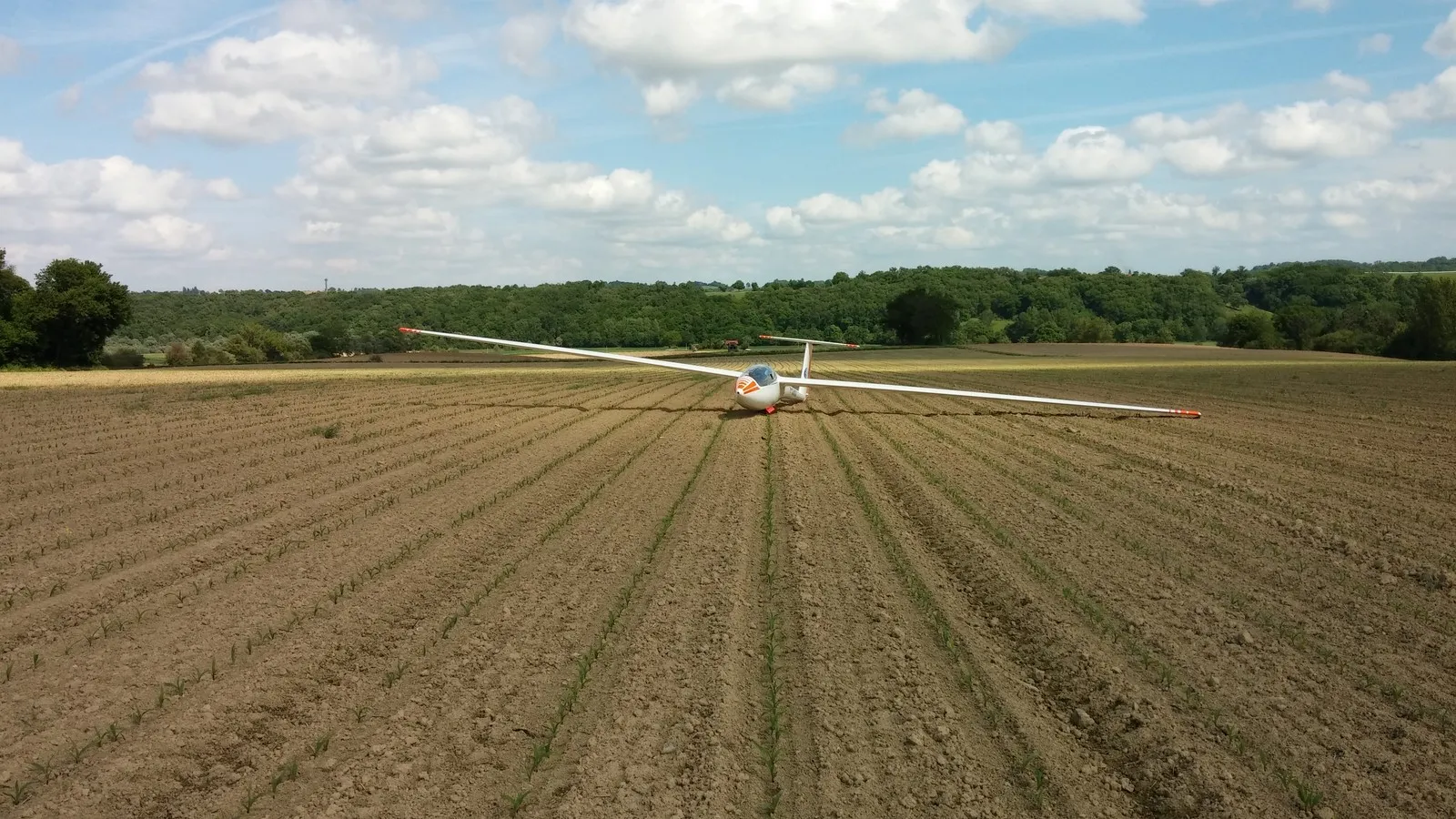 se vacher dans un champ